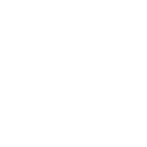 Experience and Expertise Icon